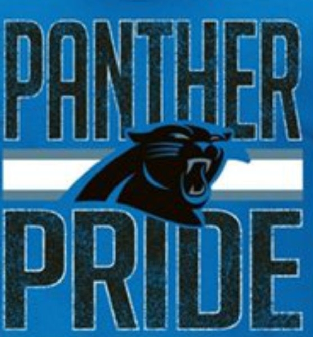 25 Carolina Panthers Quotes - picture 20