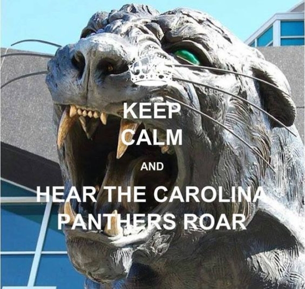 25 Carolina Panthers Quotes - picture 21