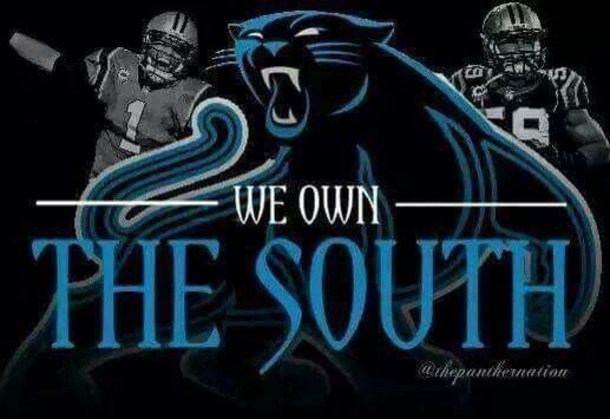 25 Carolina Panthers Quotes - picture 24