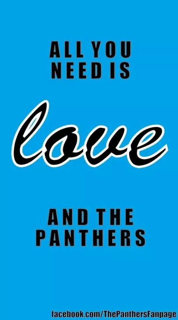 25 Carolina Panthers Quotes - picture 5