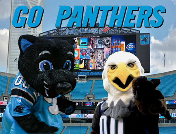 25 Carolina Panthers Quotes - picture 6