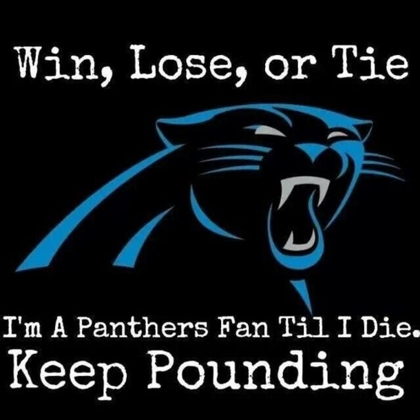 25 Carolina Panthers Quotes - picture 8