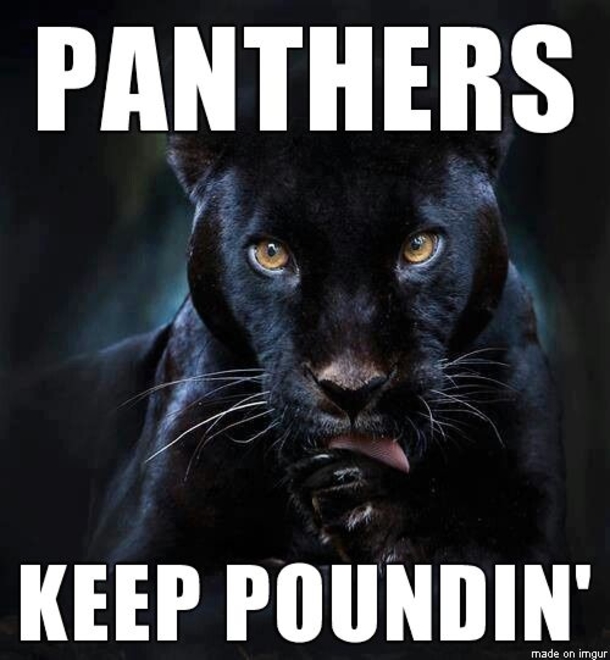 25 Carolina Panthers Quotes - picture 9