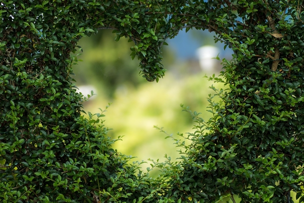25 Heart & Love Photography Images - picture 2