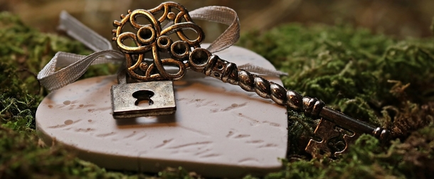 25 Heart & Love Photography Images - picture 8