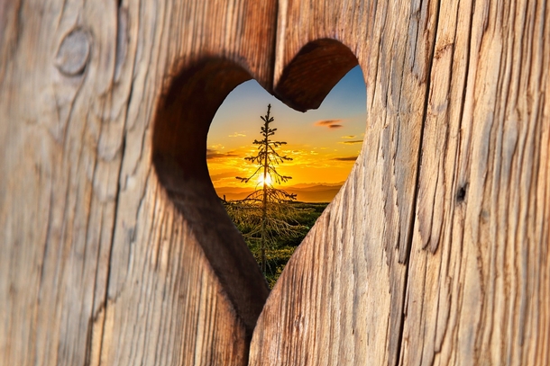 25 Heart & Love Photography Images - picture 9