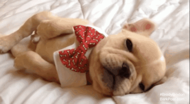 25 Hilariously Unfortunate Things Moms Have Done While Sleep-Deprived - picture 9
