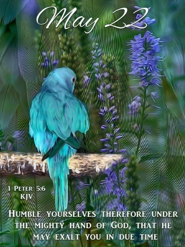 25 Inspirational May 22 Quotes For The Day - picture 2