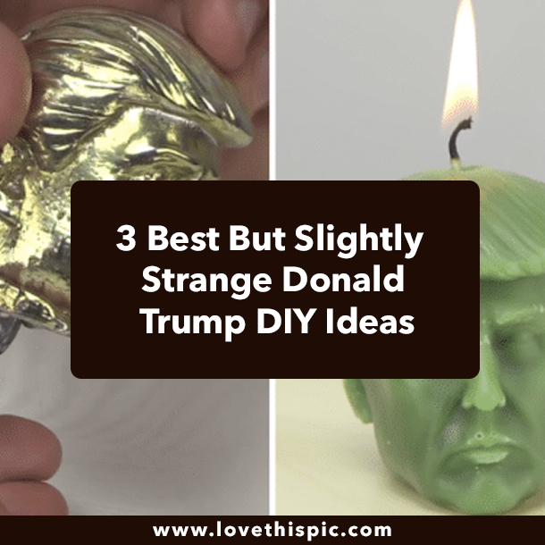 3 Best But Slightly Strange Donald Trump DIY Ideas