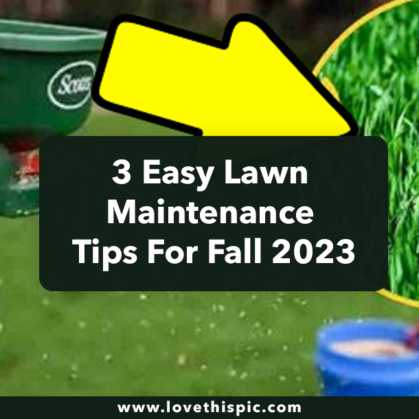 3 Easy Lawn Maintenance Tips For Fall 2023