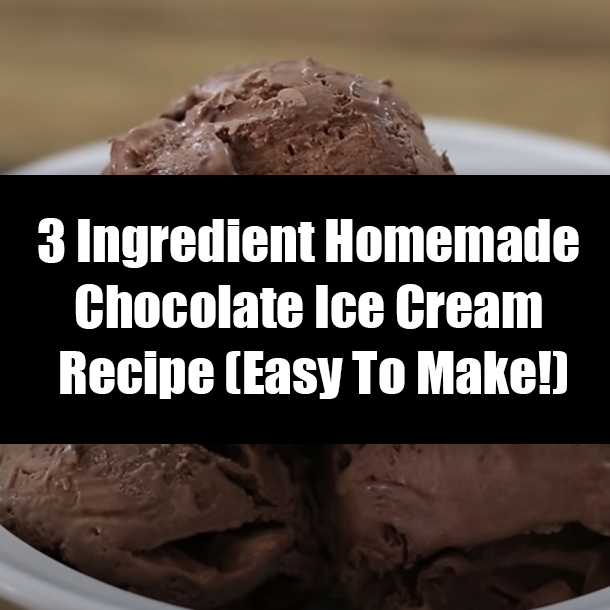 3 Ingredient Homemade Chocolate Ice Cream Recipe (Easy To Make!)