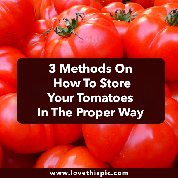 3 Methods On How To Store Your Tomatoes In The Proper Way