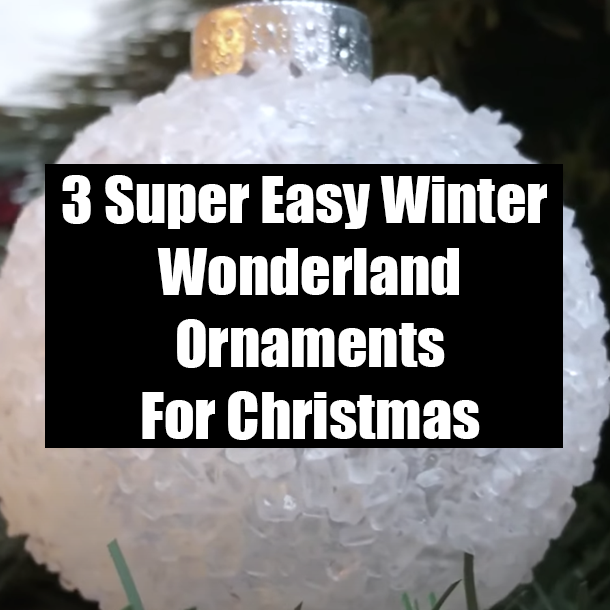 3 Super Easy Winter Wonderland Ornaments For Christmas