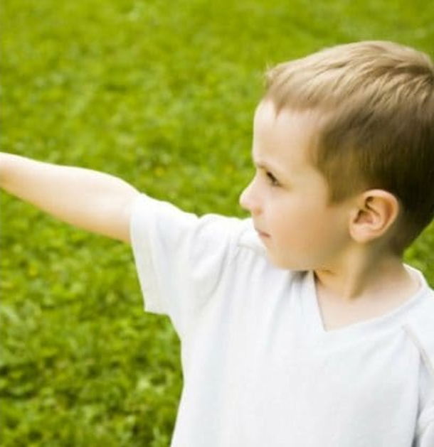 3-Yr-Old Tells Parents He Was Murdered In Past Life, Then Leads Them To Body And Murder Weapon… - picture 2