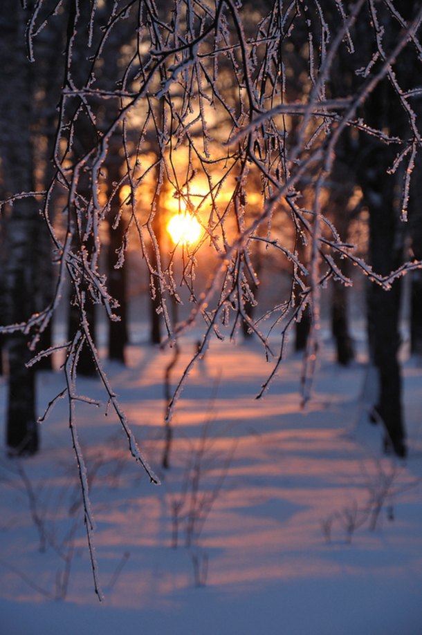 30+ Festive Pictures For Christmas - picture 10