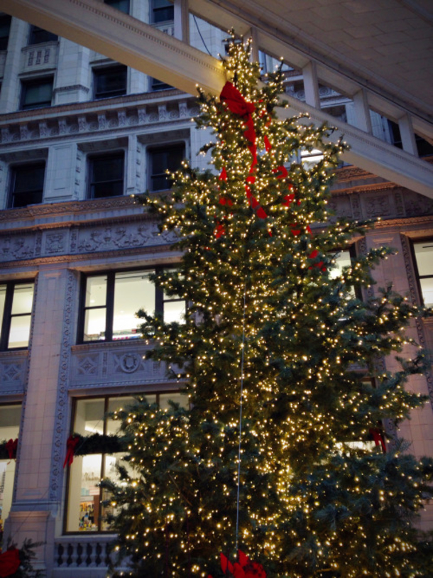 30+ Festive Pictures For Christmas - picture 25