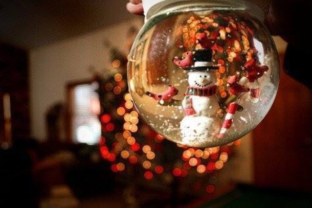 30+ Festive Pictures For Christmas - picture 19