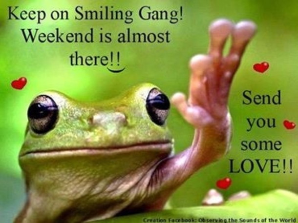 30 Fun Friday Quotes To Share - picture 10
