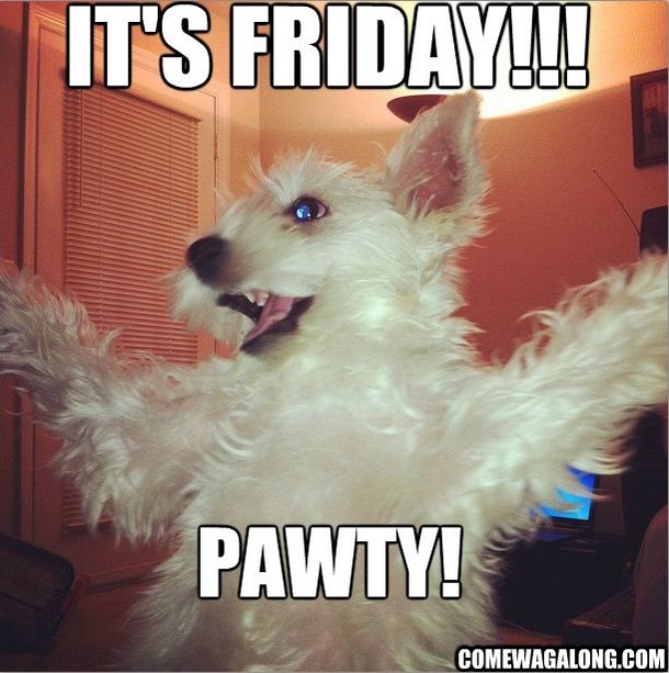 30 Fun Friday Quotes To Share - picture 13