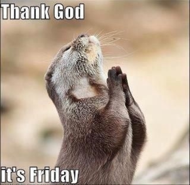 30 Fun Friday Quotes To Share - picture 16