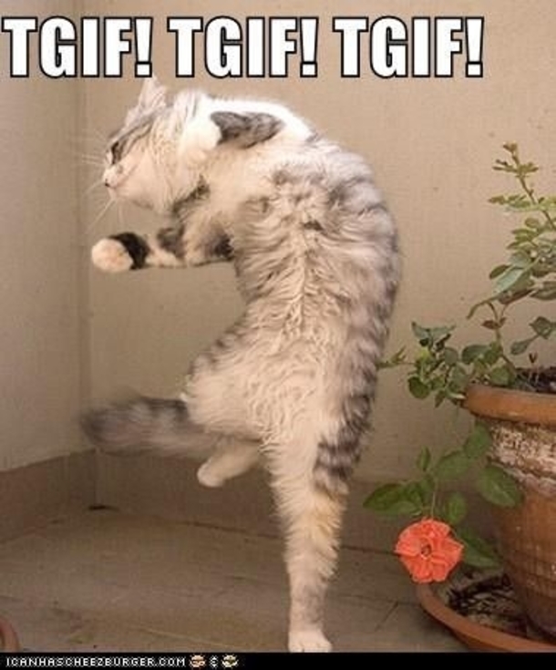 30 Fun Friday Quotes To Share - picture 17