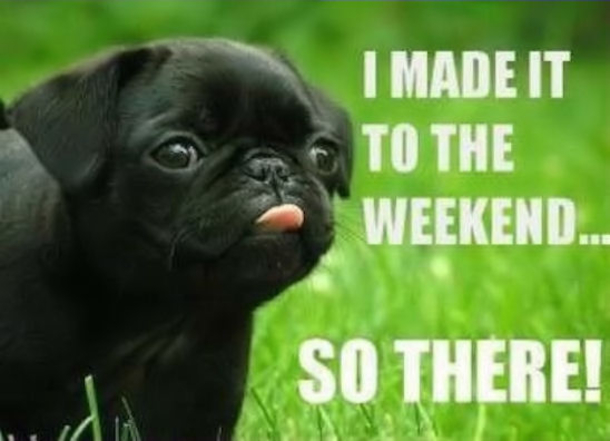 30 Fun Friday Quotes To Share - picture 20