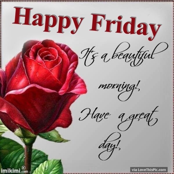 30 Fun Friday Quotes To Share - picture 28