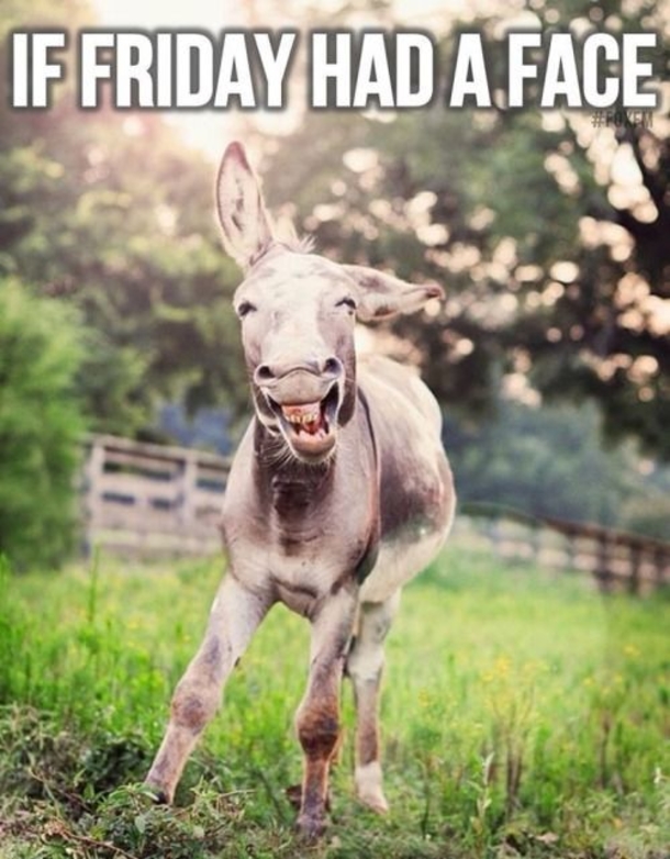 30 Fun Friday Quotes To Share - picture 31
