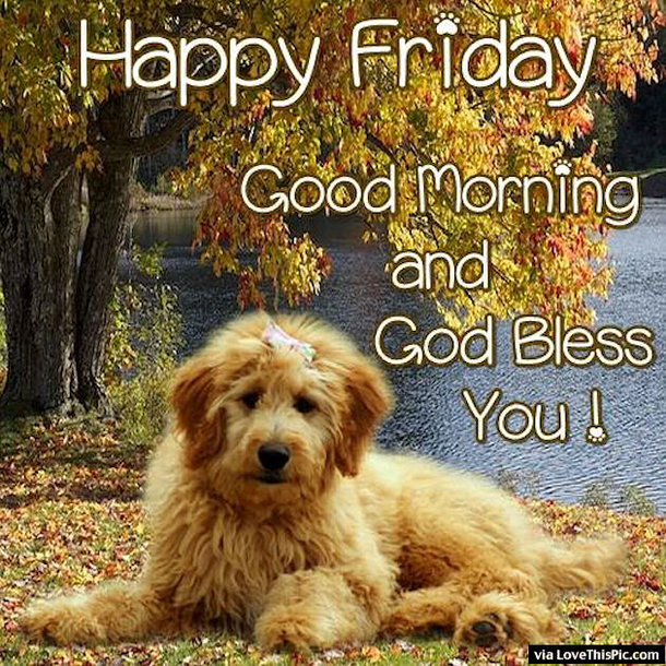 30 Fun Friday Quotes To Share - picture 4