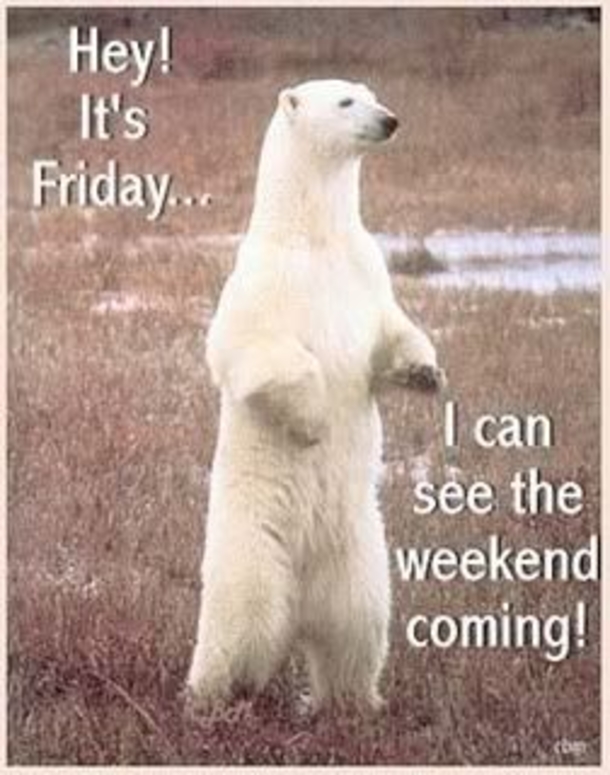 30 Fun Friday Quotes To Share - picture 9