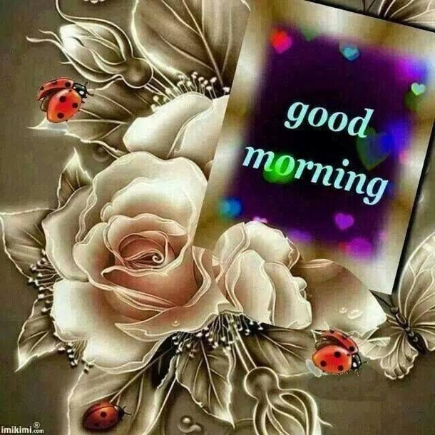 30 Good Morning Quotes And Sayings For 2022 - picture 3