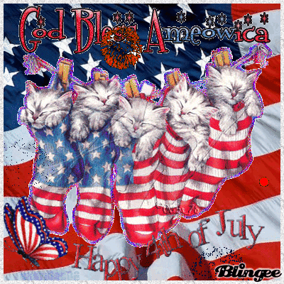 30 Inspirational 4th Of July Gifs - picture 10