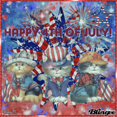 30 Inspirational 4th Of July Gifs - picture 19