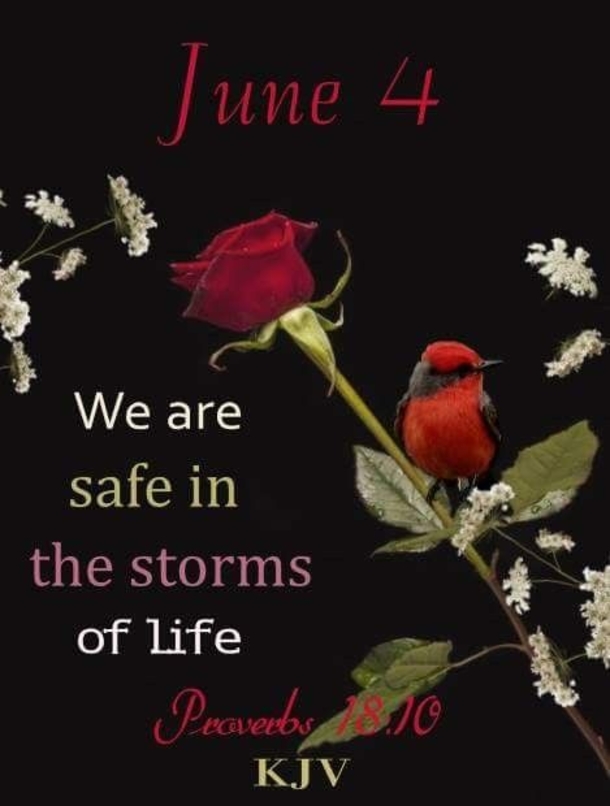 30 Inspirational June 4 Quotes, Sayings And Messages - picture 2