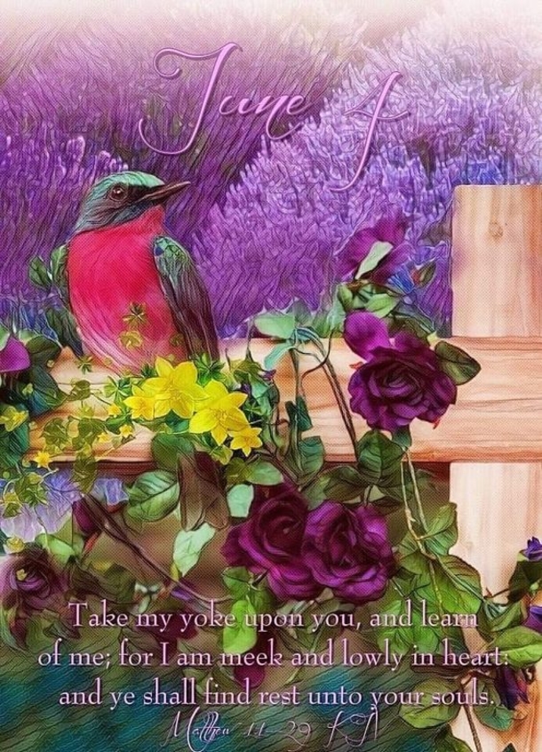 30 Inspirational June 4 Quotes, Sayings And Messages - picture 5