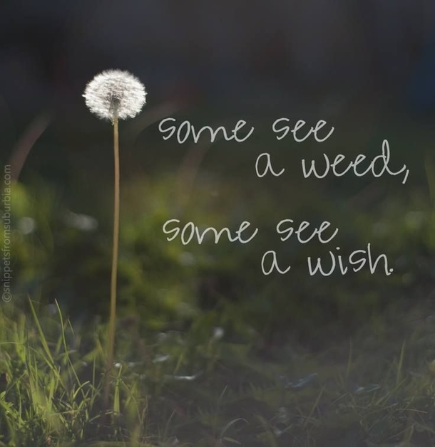 30 Inspiring Quotes For The Week - picture 22
