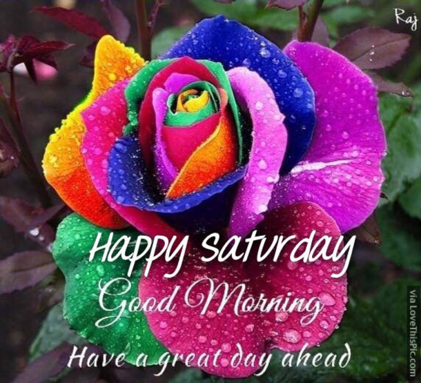 30 Of The Best Saturday Quotes To Share - picture 24