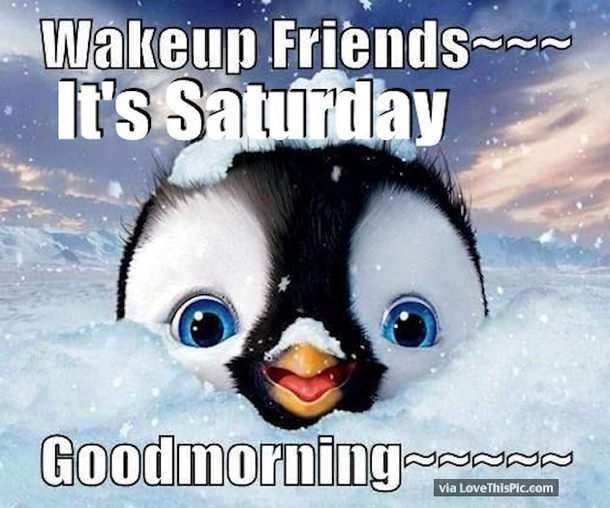 30 Of The Best Saturday Quotes To Share - picture 4