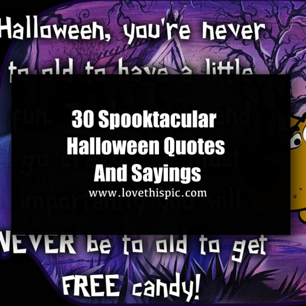 30 Spooktacular Halloween Quotes And Sayings