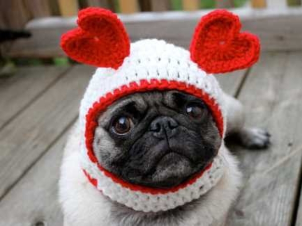 30 Valentine's for Pet Lover's - picture 13