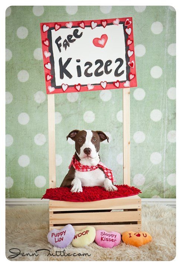 30 Valentine's for Pet Lover's - picture 23