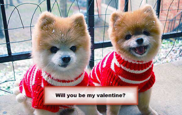 30 Valentine's for Pet Lover's - picture 4