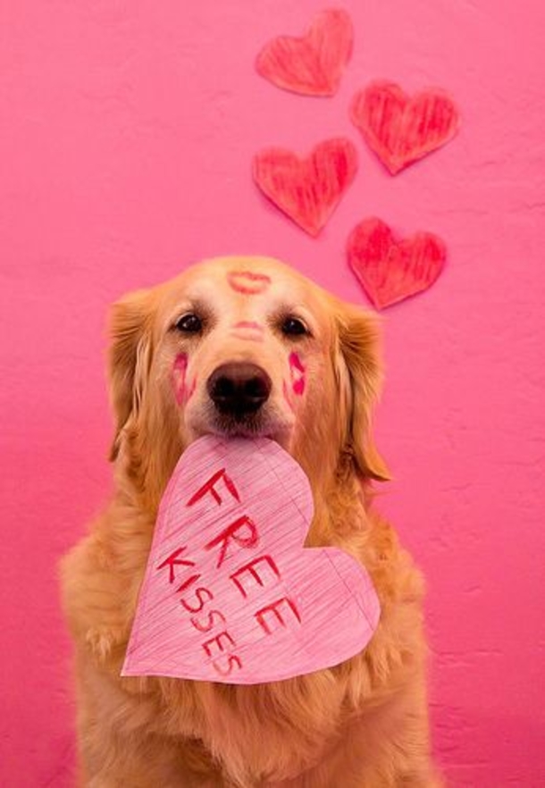 30 Valentine's for Pet Lover's - picture 9