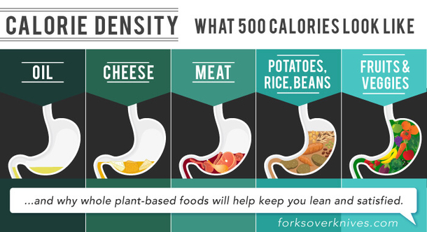 4 Diet Mistakes You’re Making That Only Create More Belly Fat - picture 2