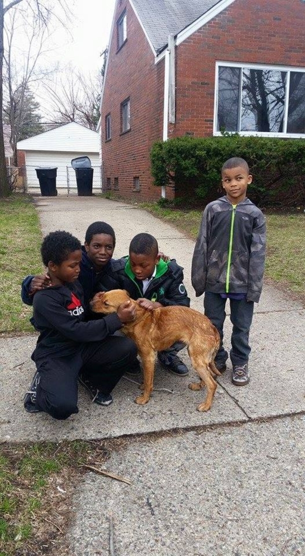 4 little boys rescue starving, abandoned dog tied to house with bungee cords - picture 2
