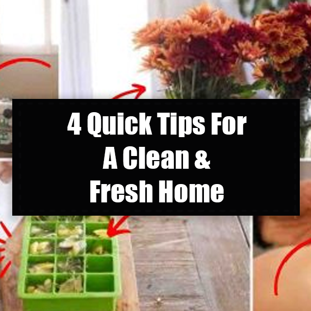 4 Quick Tips For A Clean & Fresh Home