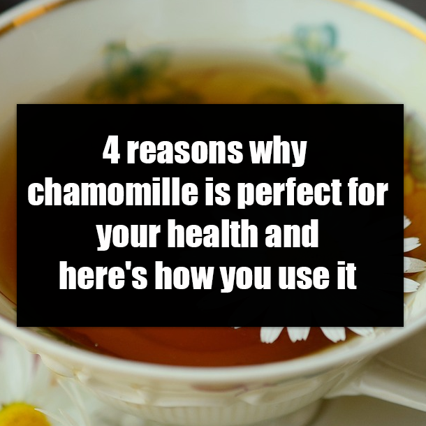 4 reasons why chamomille is perfect for your health and here's how you use it