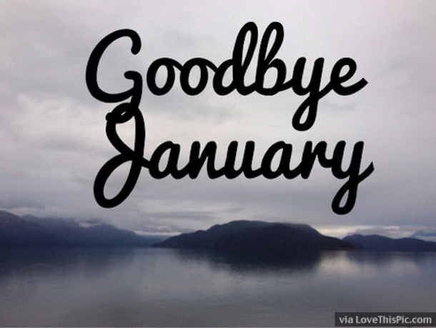 40 Goodbye January Quotes - picture 12