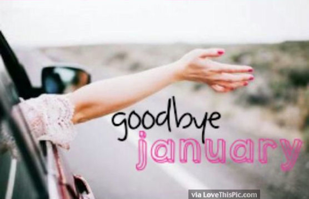 40 Goodbye January Quotes - picture 13
