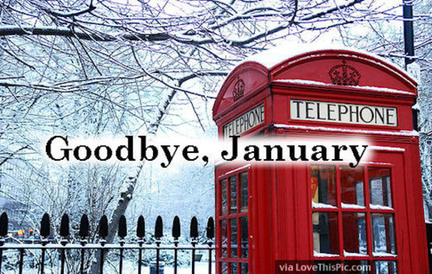 40 Goodbye January Quotes - picture 14